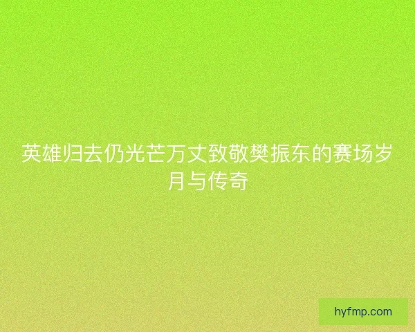 英雄归去仍光芒万丈致敬樊振东的赛场岁月与传奇